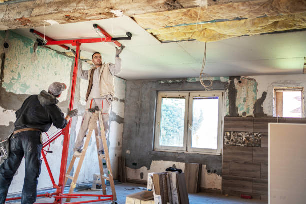 Best Insulation Removal  in Farmville, NC