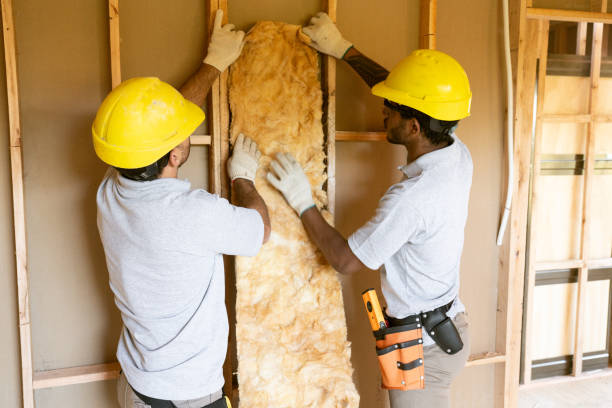 Best Spray Foam Insulation  in Farmville, NC